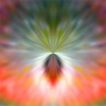 Big Bang