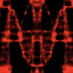Spine Wave