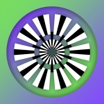 Radial Reduction V